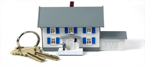 طراحی سایت املاک در تبریز